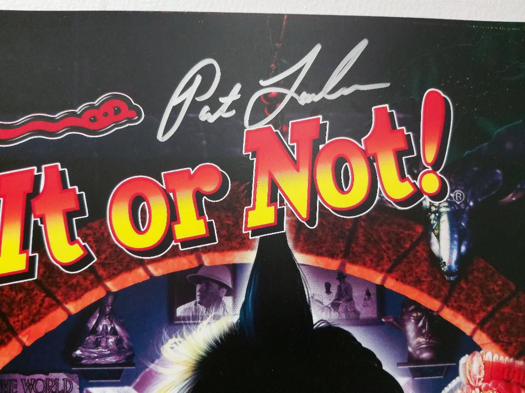 RIPLEY'S BELIEVE IT OR NOT Pinball Machine Game Translite Backbox